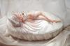 SSR FIGURE Waking Up White Hair 1/7 Scale PVC & ABS Pre-painted Finished Figure