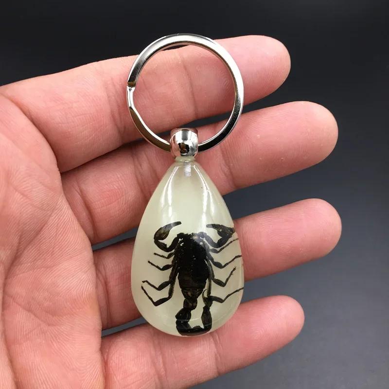 1PC Resin Insect Luminous Key Chain Noctilucent Scorpion Insect Specimen Pendant Tourist Souvenirs Color Random