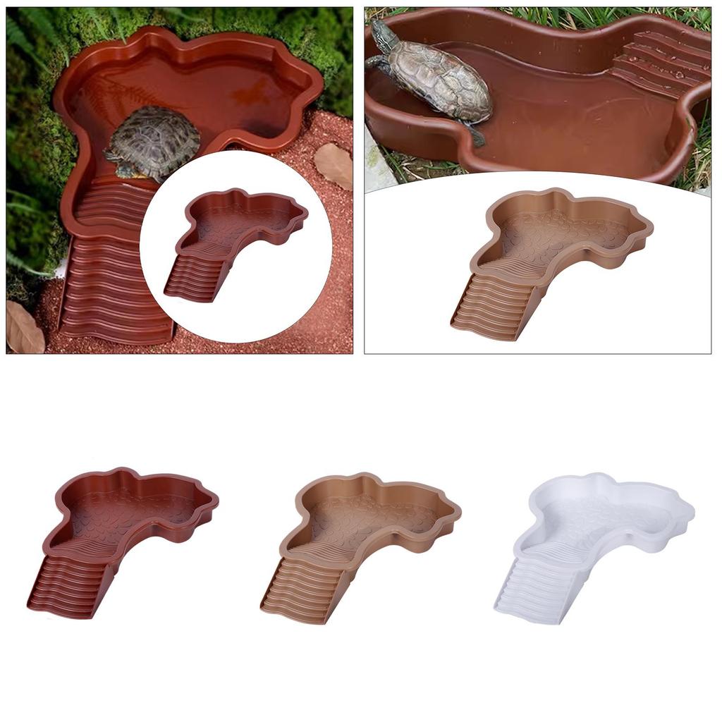 Reptile Bathing Pool Reptile Feeding Dish for Scorpion Leopard