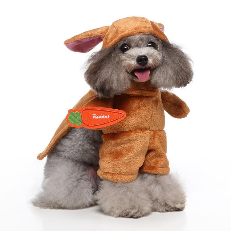 Christmas Costumes: Funny Standing Transformation Clothes for Small and Medium-Sized Dogs and Cats