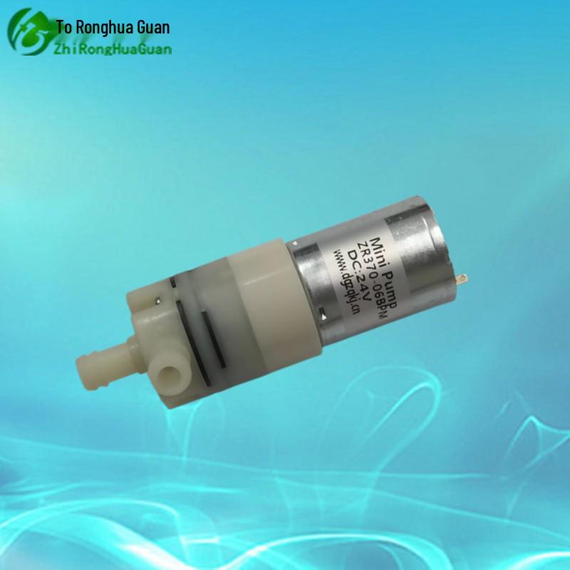 Ronghua Guan 12V/24V Mini Water/Vacuum Pump - Model 370