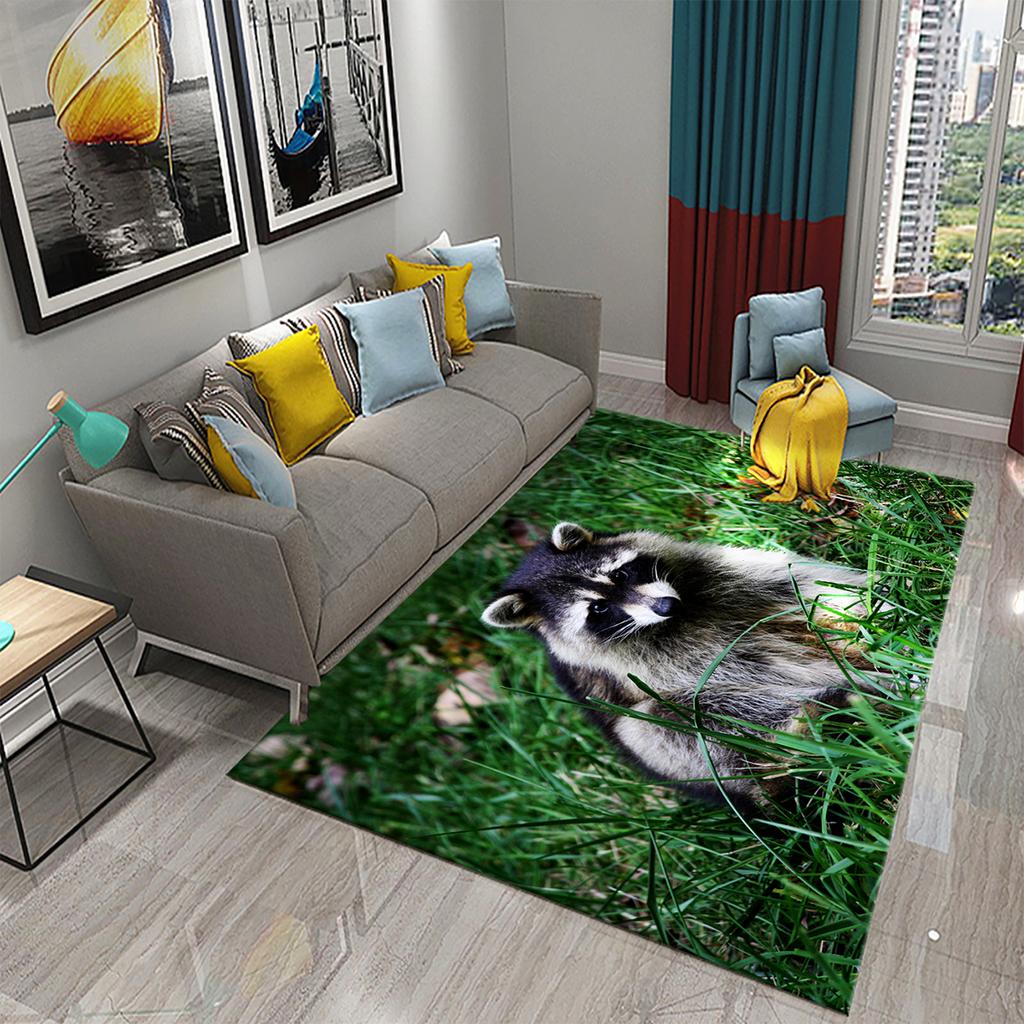 Bathroom Entrance Non-Slip Mat Living Room Balcony Kitchen Bedroom Rug Cute Raccoon Rug Cute Animal Rug