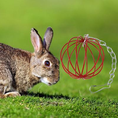 Yousheng Cadena Larga Colgante Bola de Hierba de Conejo Redonda Comida de Hierba para Mascotas Mini Estante para Bolas de Hierba Suministros para Mascotas