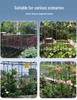 Vegetable Garden Climbing Support: Bean, Cucumber, and Runner Bean Trellis Frame