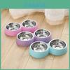 Stainless Steel Double Bowl Plastic Pet Bowl Vibrant Colors Wholesale