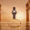 RADO Radar Crystal Series Automatic Mechanical Movement 50 Meters Waterproof 35mm Brown Dial Stainless Steel Case Stainless Steel Strap R30029902