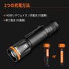 NICRON F51 LED Handheld with for Disaster Power Emergency Outdoor Maximum 600 Lumens Light, Lightweight, Compact, Powerful, Clip, Waterproof, Hiking,