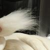 Handmade Wool Felt Wool Strip DIY Filling Wool Shaping Base Material Easy To Felt Customizable Entertainment Wool Yarn