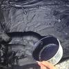 Plant Dye: Isatis Tinctoria Indigo for Batik and Tie-Dye.