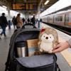Plush Hedgehog Doll With Soft Polyester Fiber For Kids And Teens Gift