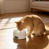 Heated Ceramic Pet Bowl With Adjustable Temperature Control For Cats And Dogs