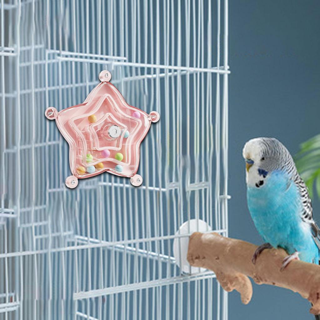 Vogelkäfig Spielzeug Papagei Drehrad Rassel Zubehör Übung Bereicherung für Papageichen