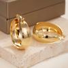 French Fashion, Light Luxury Style, Simple Women's Earrings, Large Curved Geometric Accessories, Exquisite