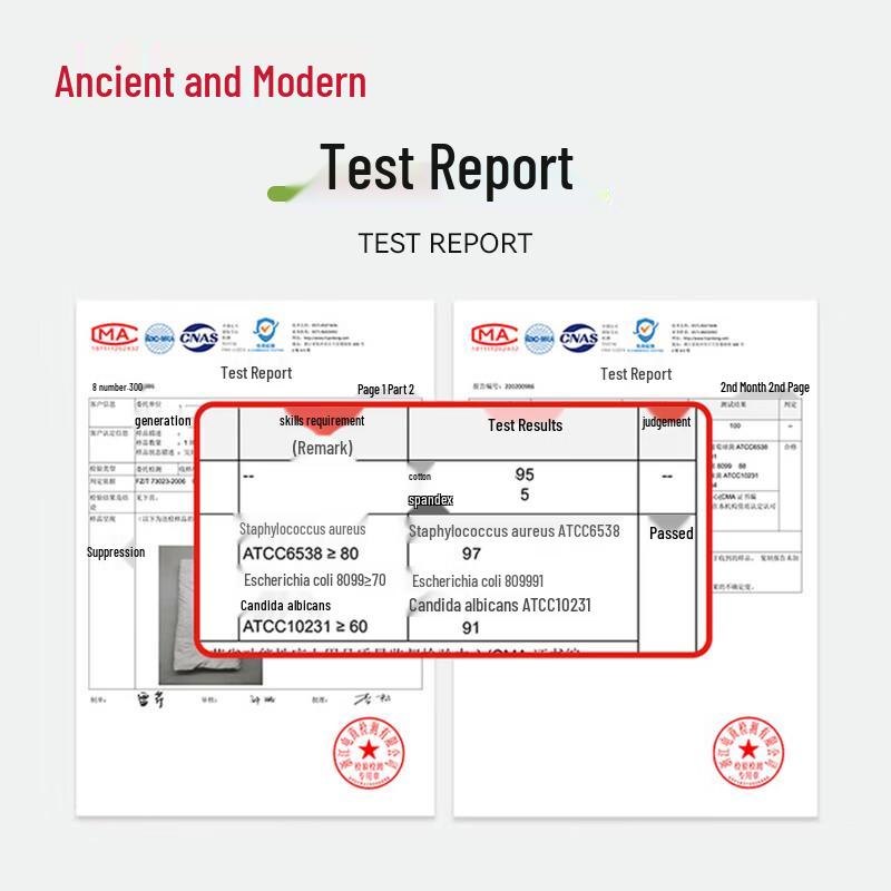 GUJIN Women's 3-Pack Cotton High-Waist Antibacterial Briefs