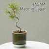 Leaf88 Made in Japan Hasami-Keramik Blumentopf mit Größe und Untertasse, 10,5x11,5cm, 3,5 (Matcha Weiß)