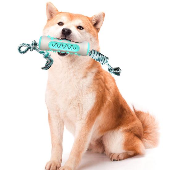 Pet Dog Puppy Bone Shape Molar Teeth Cleaner Brushing Stick Interactive Chew Toy