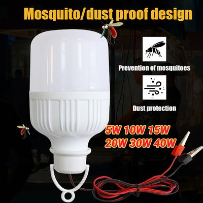 Led-Licht Ampulle 12 V Led-lampe Lampe 20 W 30 W 40 W Camping Lampe Spot Lampe Tragbare Filament luminaria