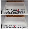 1 Set Bird Feeder Removable Transparent Plastic Parrot Hanging Automatic Feeder Garden Supply