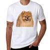 Pomeranian Tshirt Plus Size Basic Short Sleeve Top