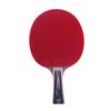 Double Fish 6-Star Table Tennis Paddle