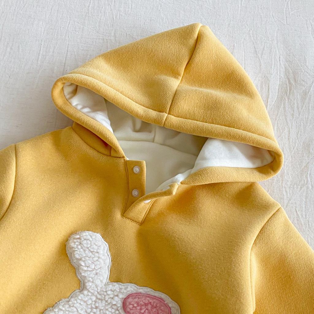 Winter 2025 Baby Fleece Cartoon Romper - Cute Embroidered Rabbit Newborn Jumpsuit