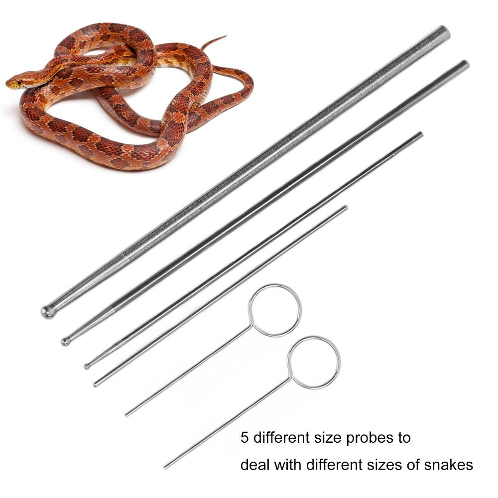 6pcs Anti Allergy Snake Sexing Probe Round Head Reptile Sexing Probe  Sex Detection