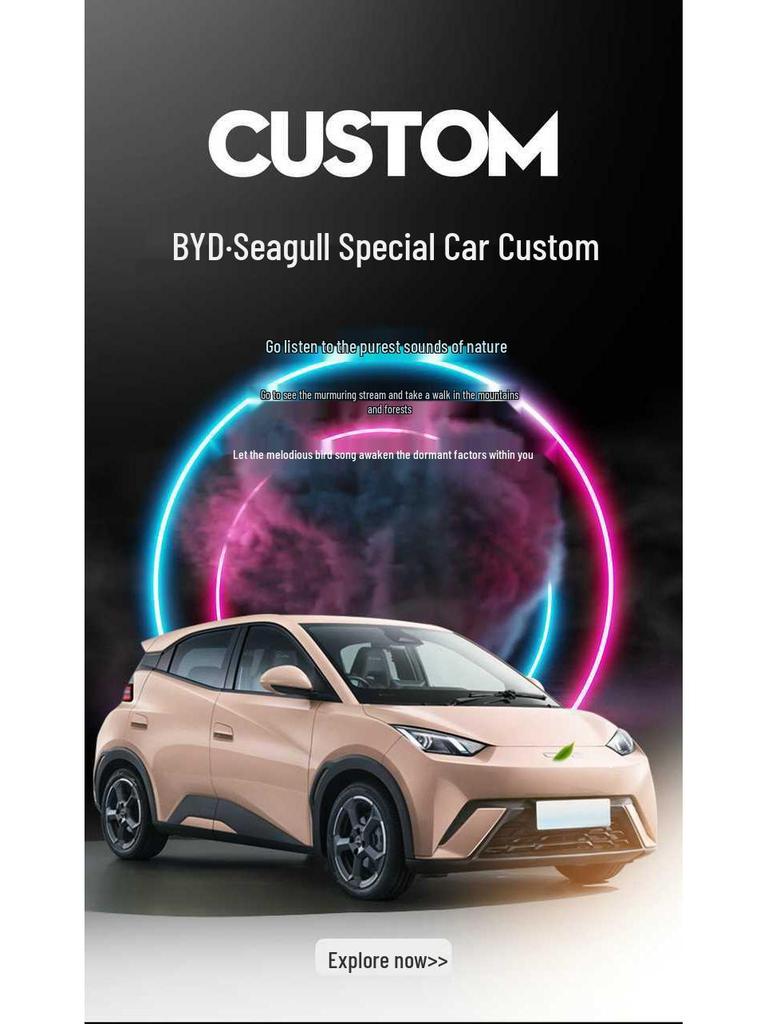 BYD Seagull Car Seat Covers: All-Season, Full-Coverage, Leather Universal Cushions