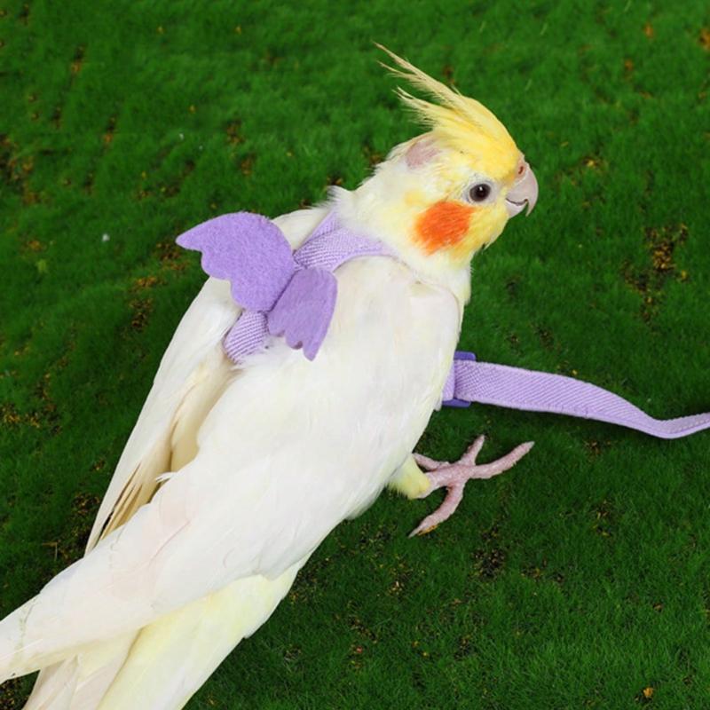 Geschirr Verstellbares Haustier Vogel Geschirr Leine Draußen Fliegen Training Seil Leine Bissfest Elastisches Band Für Vogel Papagei Kakadu Aras Wellensittich