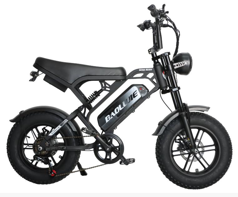 Electric bicycle F2 500W E-bike with 48V 13Ah battery, 16 inch tires, shoulder suspension, top speed of 45 kilometers per hour, mechanical disc brake