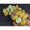 322Cts. Natural Yellow Lace Agate Mix Cabochon Loose Gemstone 19Pcs Lot C-227