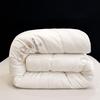 PAUI DAVID All-Season Soft Embroidered Quilt