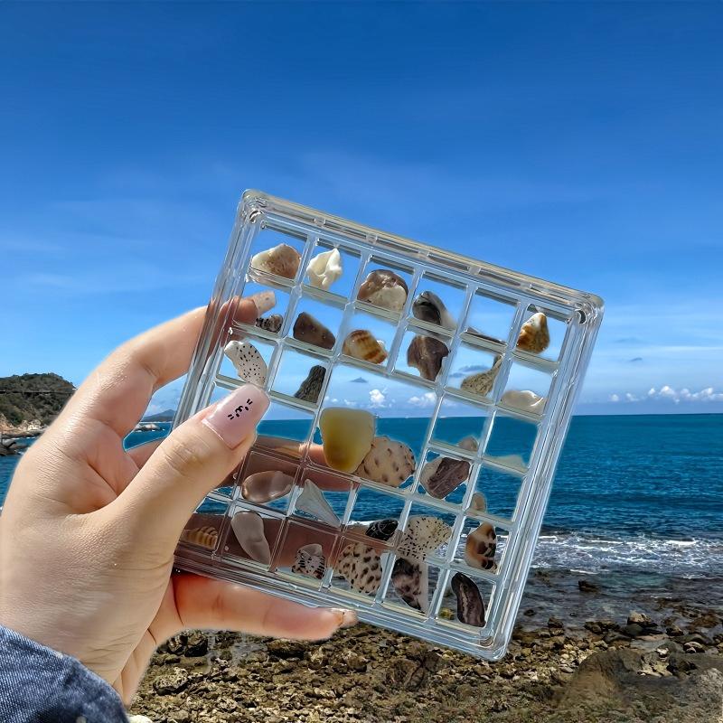 Natural Mini Conch, Shell Starfish, High Transparency Acrylic Storage Box, Material Box, Micro Shell Sand Specimen, Seaside Gift