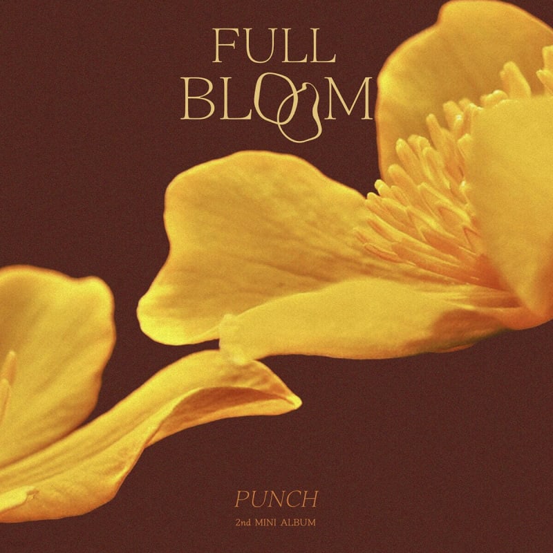 

Punch - 2nd Mini Album: Full Bloom