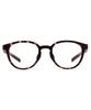 sunglasses UNITED Features polarized thick stylish UV suitable for men and ideal for [Zoff] Boston-style (Brown (Demi pattern) ZA261G04_49A1) ARROWS.