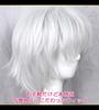 CaseEden Cosplay Wig, Short, 25cm, Heat-Resistant, Silver, Silver-White, Includes 2 Wig Nets