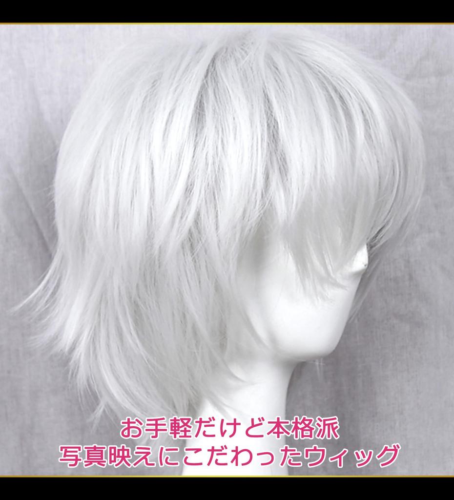 CaseEden Cosplay Wig, Short, 25cm, Heat-Resistant, Silver, Silver-White, Includes 2 Wig Nets