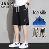 JEEP SPIRIT Atmungsaktive Sommer-Freizeitshorts für Herren