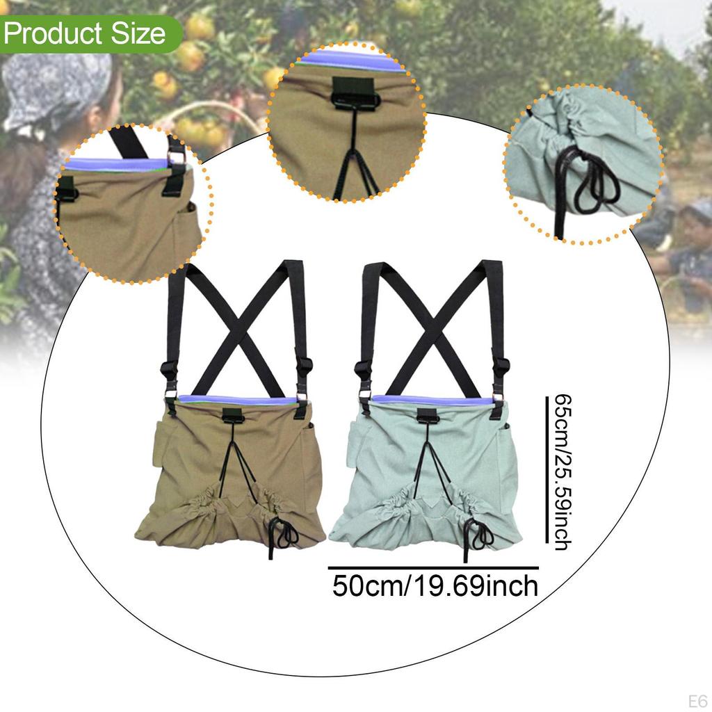 Canvas Bag for Fruit Collection, Foraging Holder Garden Use