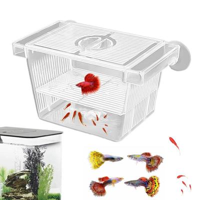 Fische & Meerestiere – Aquarien