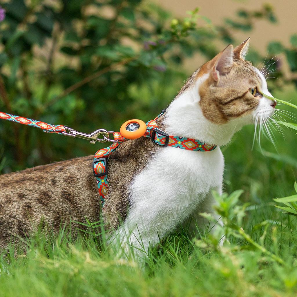 CUSOZWO Katzengeschirr und Leine Ausbruchschutz für Draußen Weiches Nylon Verstellbar Niedliches Katzengeschirr- und Leinen-Set mit AirTag-Halter für Kleine und