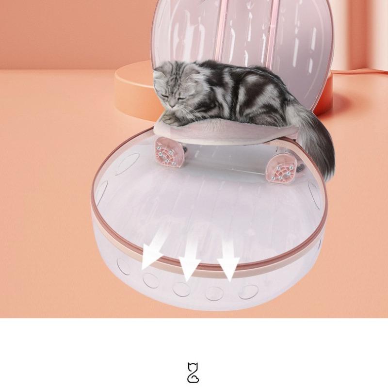 Valise transparente pour animaux de compagnie, grande capacité, valise de voyage pour chien, boîte à bulles Portable d'extérieur, boîte d'aviation