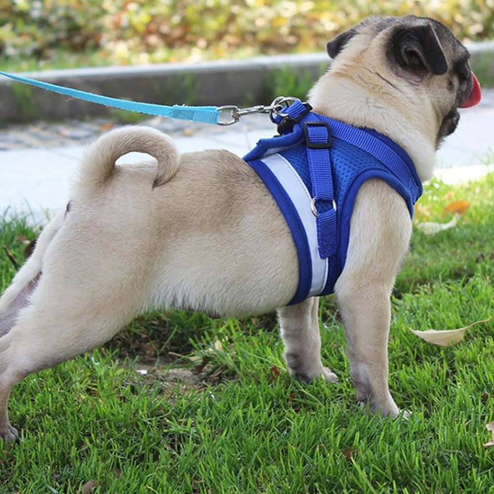 small dog chest harness