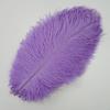 10 Pezzi Piume di Struzzo Colorate per Artigianato Piuma di Struzzo Bianca Grande Decorazione Centrotavola Carnevale Matrimonio Festa Decorazione