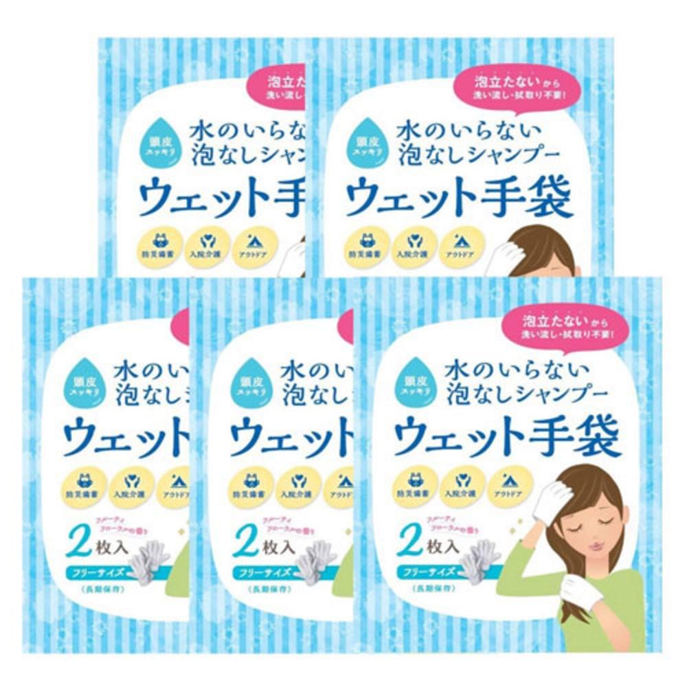 Waterless Shampoo, Shampoo Gloves, Waterless Shampoo, Washing Shampoo Gloves (2-pack), 100g, 5 pcs