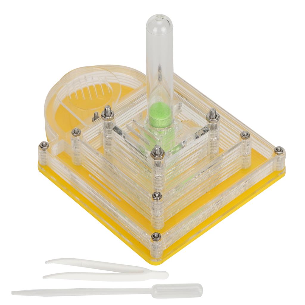 Acryl Ameisen Zuchtbox Transparent Beobachten Fütterungsbehälter Ameisenhaus Spielzeug für Kinder