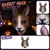 Face Halloween Animal Costume Accessory for Party and Cosplay