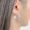 Denmito Homeika Toned-Down Neat Women's Transparent Earrings