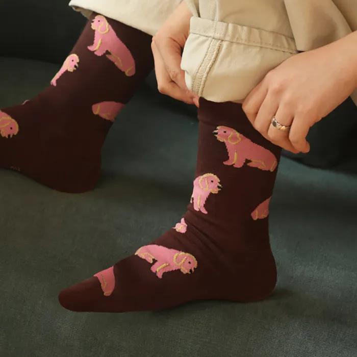 Artist Saebyeol, Pink Puppy Socks