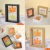 Wooden Doublesided Glass Photo Frame For A4 Herb Leaf Specimen Diy Art Display For Home Decor