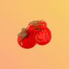 Kitsch Mood Hair Clip Tomato
